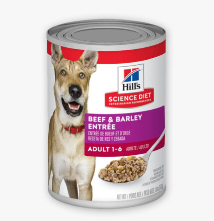 Science Diet Beef & Barley Entrée Dog Food